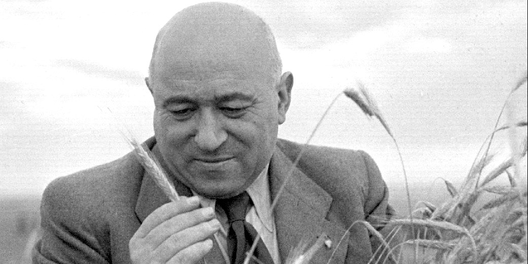 Rákosi Mátyás, a pufók magyar Sztálin